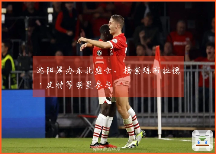 沈阳筹办东北盛会，杨紫琼布拉德·皮特等明星参与