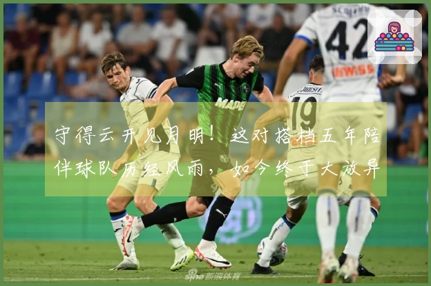 守得云开见月明！这对搭档五年陪伴球队历经风雨，如今终于大放异彩