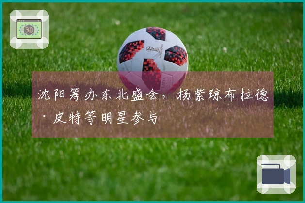 沈阳筹办东北盛会，杨紫琼布拉德·皮特等明星参与